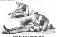 An illustration from Scientific American, Vol. 71, No. 18 (November 1894) (1894)