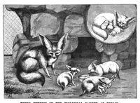 An illustration from Scientific American, Vol. 72, No. 9 (March 1895) (1895)