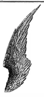 Picture 13 of 13 from Scientific American, Vol. 72, No. 15 (April 1895) (1895), leaf 15