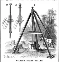 Picture 13 of 15 from Scientific American, Vol. 72, No. 21 (May 1895) (1895), leaf 10