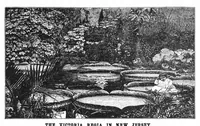 Picture 12 of 13 from Scientific American, Vol. 72, No. 23 (June 1895) (1895), leaf 8