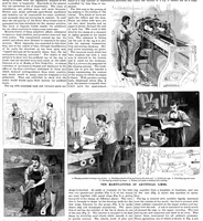 An illustration from Scientific American, Vol. 73, No. 5 (August 1895) (1895)