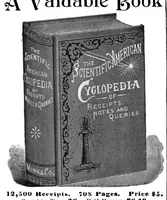 An illustration from Scientific American, Vol. 73, No. 7 (August 1895) (1895)
