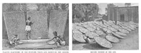 Picture 6 of 16 from Scientific American, Vol. 73, No. 18 (November 1895) (1895), leaf 4