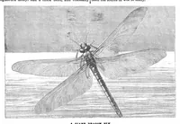 An illustration from Scientific American, Vol. 73, No. 19 (November 1895) (1895)