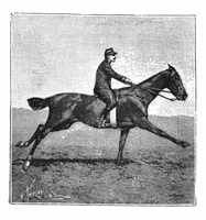 An illustration from Scientific American, Vol. 73, No. 24 (December 1895) (1895)