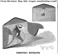 Picture 8 of 16 from Scientific American, Vol. 73, No. 24 (December 1895) (1895), leaf 5