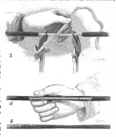An illustration from Scientific American, Vol. 73, No. 26 (December 1895) (1895)