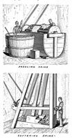 Picture 9 of 20 from Scientific American, Vol. 74, No. 12 (March 1896) (1896), leaf 8