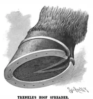 Picture 4 of 18 from Scientific American, Vol. 74, No. 16 (April 1896) (1896), leaf 3