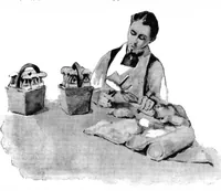 Picture 7 of 19 from Scientific American, Vol. 74, No. 21 (May 1896) (1896), leaf 4