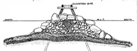 Picture 8 of 19 from Scientific American, Vol. 74, No. 21 (May 1896) (1896), leaf 6