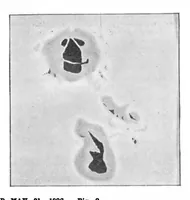 An illustration from Scientific American, Vol. 74, No. 24 (June 1896) (1896)
