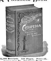 Picture 17 of 18 from Scientific American, Vol. 75, No. 2 (July 1896) (1896), leaf 14