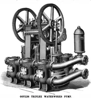 An illustration from Scientific American, Vol. 75, No. 6 (August 1896) (1896)
