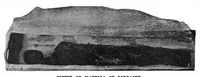 Picture 13 of 17 from Scientific American, Vol. 75, No. 7 (August 1896) (1896), leaf 10