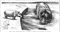 An illustration from Scientific American, Vol. 75, No. 14 (October 1896) (1896)