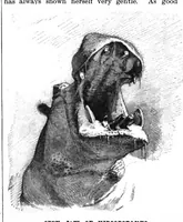 An illustration from Scientific American, Vol. 75, No. 14 (October 1896) (1896)