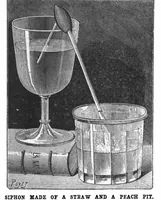Picture 13 of 19 from Scientific American, Vol. 75, No. 23 (December 1896) (1896), leaf 9