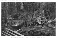 An illustration from Scientific American, Vol. 75, No. 25 (December 1896) (1896)