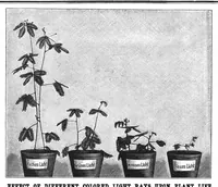 Picture 11 of 13 from Scientific American, Vol. 76, No. 1 (January 1897) (1897), leaf 9
