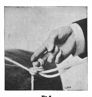 An illustration from Scientific American, Vol. 76, No. 2 (January 1897) (1897)