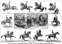 Picture 15 of 16 from Scientific American, Vol. 76, No. 5 (January 1897) (1897), leaf 10