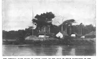 Picture 9 of 15 from Scientific American, Vol. 76, No. 11 (March 1897) (1897), leaf 7