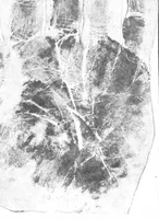 An illustration from Scientific American, Vol. 76, No. 12 (March 1897) (1897)