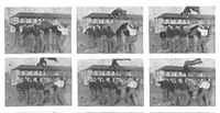 An illustration from Scientific American, Vol. 76, No. 16 (April 1897) (1897)