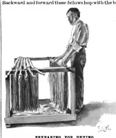 Picture 3 of 17 from Scientific American, Vol. 76, No. 22 (May 1897) (1897), leaf 3