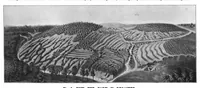 An illustration from Scientific American, Vol. 77, No. 3 (July 1897) (1897)