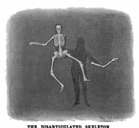 An illustration from Scientific American, Vol. 77, No. 8 (August 1897) (1897)