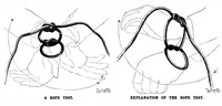 An illustration from Scientific American, Vol. 77, No. 9 (August 1897) (1897)