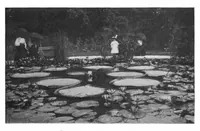 Picture 9 of 14 from Scientific American, Vol. 77, No. 14 (October 1897) (1897), leaf 8
