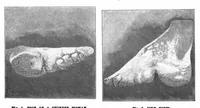 An illustration from Scientific American, Vol. 77, No. 23 (December 1897) (1897)