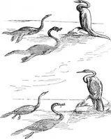 An illustration from Scientific American, Vol. 78, No. 7 (February 1898) (1898)