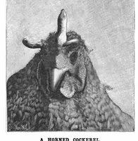 An illustration from Scientific American, Vol. 78, No. 10 (March 1898) (1898)