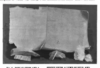 Picture 8 of 14 from Scientific American, Vol. 78, No. 18 (April 1898) (1898), leaf 4