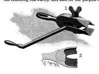 Picture 5 of 11 from Scientific American, Vol. 79, No. 1 (July 1898) (1898), leaf 4