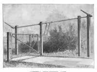 An illustration from Scientific American, Vol. 79, No. 2 (July 1898) (1898)