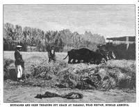 Picture 10 of 11 from Scientific American, Vol. 79, No. 8 (August 1898) (1898), leaf 10