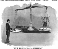 Picture 13 of 14 from Scientific American, Vol. 79, No. 9 (August 1898) (1898), leaf 10