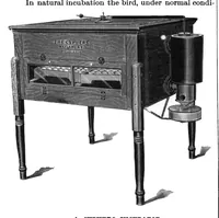 Picture 4 of 13 from Scientific American, Vol. 79, No. 19 (November 1898) (1898), leaf 4