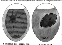 Picture 5 of 13 from Scientific American, Vol. 79, No. 19 (November 1898) (1898), leaf 4