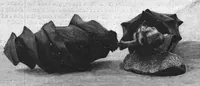 An illustration from Scientific American, Vol. 79, No. 27 (December 1898) (1898)
