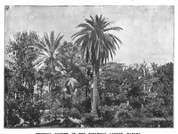 Picture 6 of 14 from Scientific American, Vol. 80, No. 3 (January 1899) (1899), leaf 7