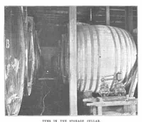 Picture 13 of 18 from Scientific American, Vol. 80, No. 11 (March 1899) (1899), leaf 8