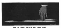 Picture 12 of 13 from Scientific American, Vol. 80, No. 16 (April 1899) (1899), leaf 10