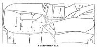 Picture 5 of 24 from Scientific American, Vol. 80, No. 18 (May 1899) (1899), leaf 4